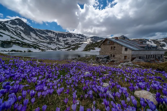 "Between Winter & Spring" by [Yuliyan Ivanov](https://www.flickr.com/photos/bgsf/)

[Source](https://www.flickr.com/photos/bgsf/54551507480/in/album-72157661906608088)
