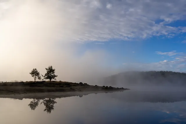 "Pair in the mist" by [Yuliyan Ivanov](https://www.flickr.com/photos/bgsf/)

[Source](https://www.flickr.com/photos/bgsf/52944637080/in/album-72157665452300979)