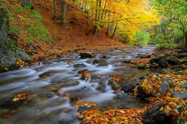 "At the autumn gates" by [Yuliyan Ivanov](https://www.flickr.com/photos/bgsf/)

[Source](https://www.flickr.com/photos/bgsf/54142006609/in/album-72157661906545298)