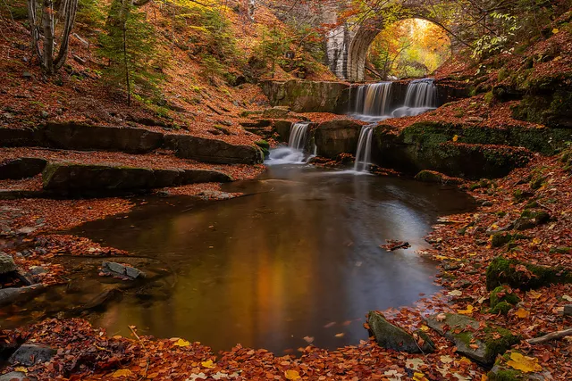 "Autumn vibes" by [Yuliyan Ivanov](https://www.flickr.com/photos/bgsf/)

[Source](https://www.flickr.com/photos/bgsf/54175931270/in/album-72157661906545298)