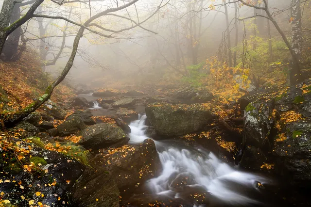 "The misty autumn embrace" by [Yuliyan Ivanov](https://www.flickr.com/photos/bgsf/)

[Source](https://www.flickr.com/photos/bgsf/49042810927/in/album-72157661906545298)