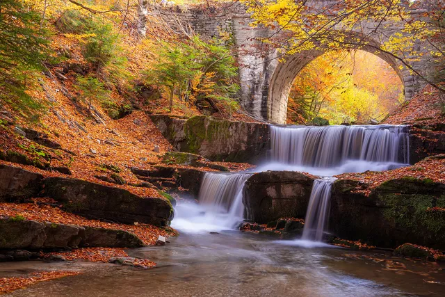 "The colors of the autumn" by [Yuliyan Ivanov](https://www.flickr.com/photos/bgsf/)

[Source](https://www.flickr.com/photos/bgsf/51638955840/in/album-72157661906545298)