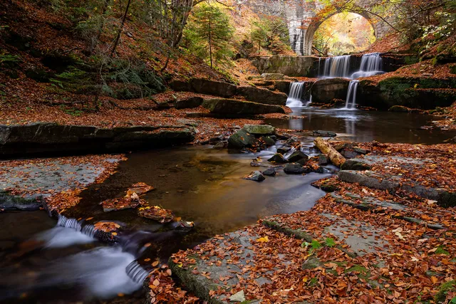 "The colors of autumn" by [Yuliyan Ivanov](https://www.flickr.com/photos/bgsf/)

[Source](https://www.flickr.com/photos/bgsf/50335398818/in/album-72157661906545298)