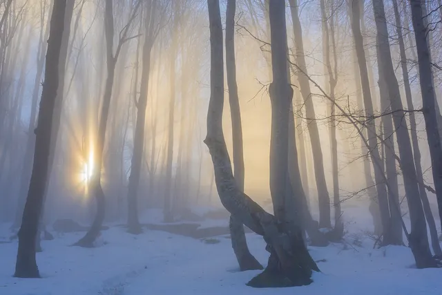 "Symphony of Light" by [Yuliyan Ivanov](https://www.flickr.com/photos/bgsf/)

[Source](https://www.flickr.com/photos/bgsf/51793629013/in/album-72157689848844436)