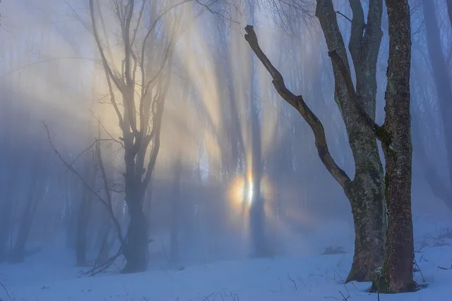 "Hail the Sun" by [Yuliyan Ivanov](https://www.flickr.com/photos/bgsf/)

[Source](https://www.flickr.com/photos/bgsf/51827734588/in/album-72157689848844436)
