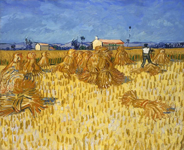 **Harvest in Provence (1888)**

Vincent van Gogh
[Source](https://www.rawpixel.com/image/11065719/image-van-gogh-plant-person)