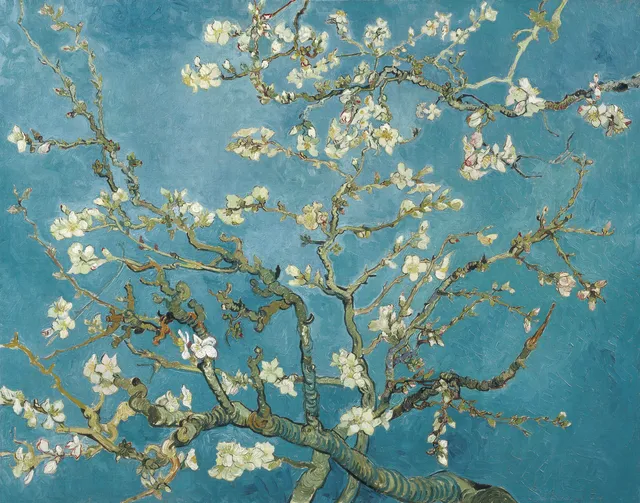 **Almond blossom (1890)**

Vincent van Gogh
[Source](https://www.rawpixel.com/image/3868942/illustration-image-flower-art-vincent-van-gogh)