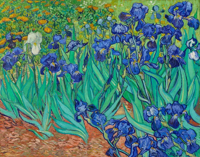 **Irises (1889)**

Vincent van Gogh
[Source](https://www.rawpixel.com/image/537382/free-illustration-image-van-gogh-impressionism)