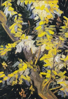 **Blossoming Acacia Branches (1890)**

Vincent van Gogh
[Source](https://www.rawpixel.com/image/3868142/illustration-image-tree-art-vincent-van-gogh)